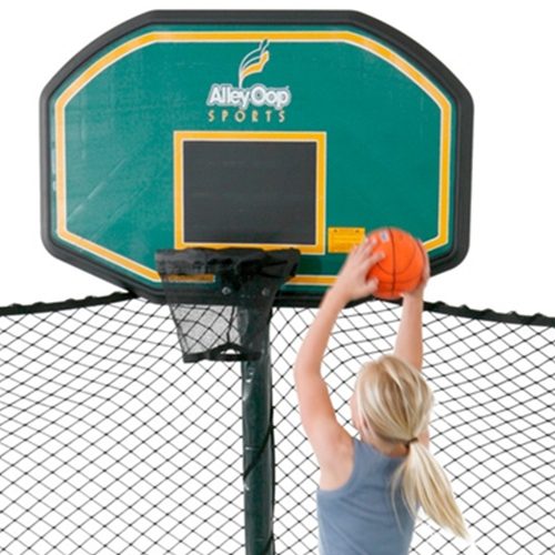 AlleyOOP ProFlex Basketball Hoop Set