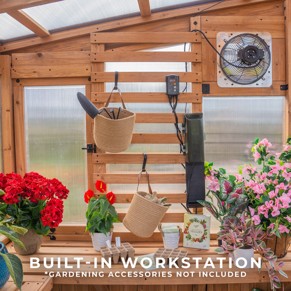 9x6 Willow Greenhouse – view 8