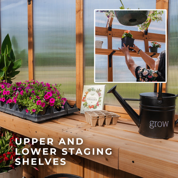 13x11 Bellerose XL Greenhouse – view 8