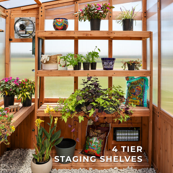 11x7 Poppy Greenhouse – view 8