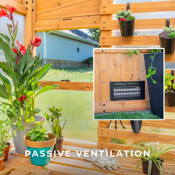 12x7 Zalie Greenhouse – view 6