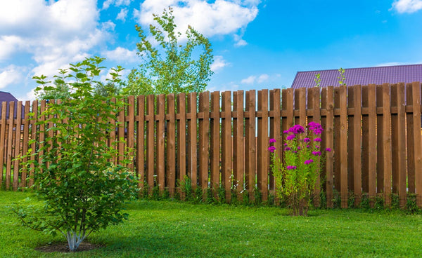 wood fence backyard