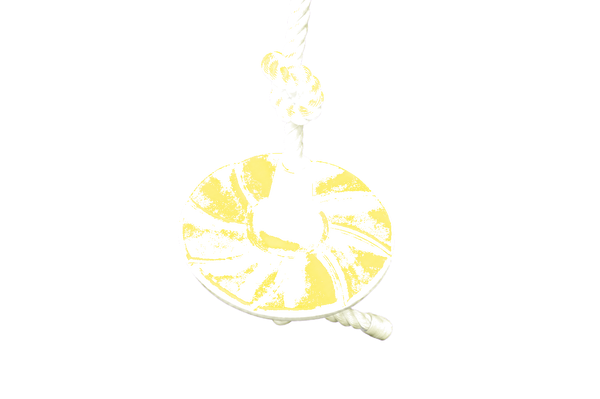 Transparent-background main image for Knotted Rope with Disc