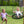 Magnolia Falls Swing Set – view 6
