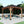 12x12 Barrington Gazebo – Gazebo