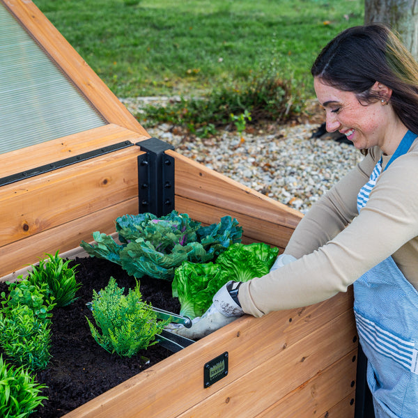 Aggie Cold Frame Box – view 8
