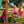 Belmont Swing Set – view 3