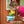 Timberlake Playhouse – view 6