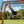 Skyfort II Swing Set – view 3
