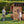 Caraway Cottage - Light Brown – view 8