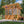9x6 Poppy Greenhouse – Greenhouse