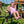 Grayson Peak Swing Set – view 3