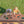 Endeavor Swing Set – view 6