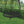 DayDreamer Tree Swing - 40
