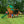 Tucson Swing Set – Swing Set