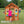 Timberlake Playhouse – view 3