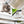 9x6 White Bellerose Greenhouse – view 5