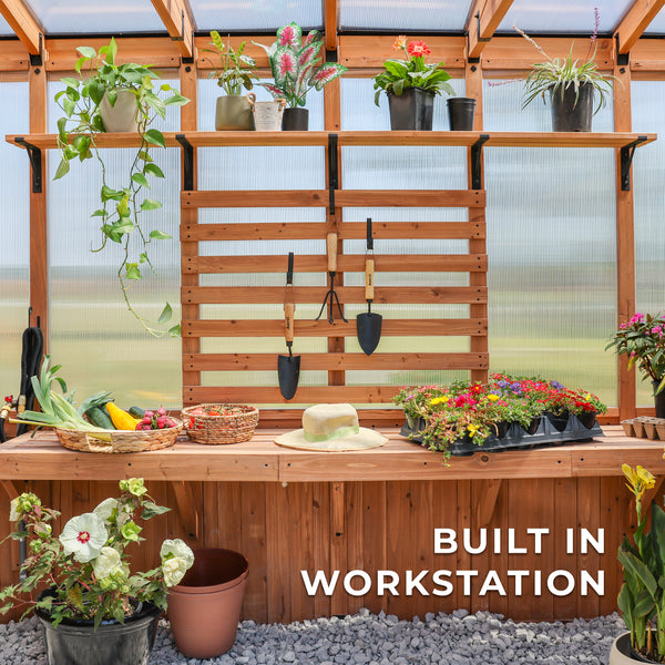 11x7 Poppy Greenhouse – view 7