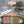 13x11 Bellerose XL Greenhouse – view 3