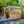 11x7 Bellerose Greenhouse – Greenhouse