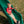 Tacoma Falls Swing Set – view 8