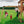 Sterling Point Swing Set – view 7