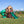 Cedar Cove Swing Set – Swing Set