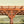 20x12 Beaumont Pergola – view 5