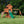 Woodland Swing Set – Swing Set