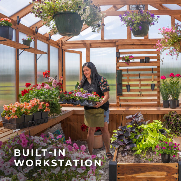 13x11 Bellerose XL Greenhouse – view 7