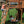 Sterling Point Swing Set – view 3