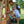 Beach Front Swing Set – view 4