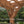 16x12 Beaumont Pergola – view 6