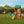 Oakmont Swing Set – Swing Set