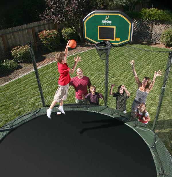 AlleyOOP ProFlex Basketball Hoop Set