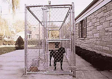 Dog-Run-2.jpg
