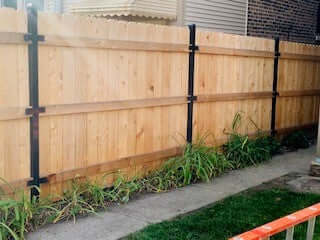 Solid-Dog-EAr-with-Powder-Coated-Posts.jpg