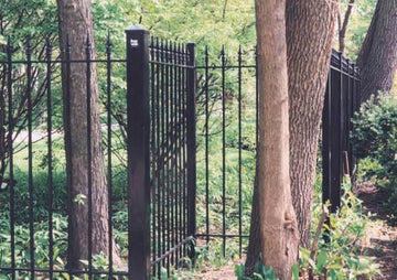 Wrought-Iron-with-Fleur-De-Lis-Finnials.jpg