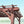 14x10 Somerville Pergola - Walnut Stain – view 5