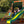 Tanglewood Swing Set – view 4