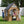 Mystic Playhouse – Playhouse
