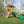 Endeavor II Swing Set – Swing Set