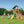 Mount McKinley Swing Set – Swing Set