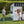 Caraway Cottage - White – view 6