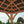 12x10 Barrington Gazebo – view 7