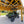 20x20 Kingsport Carport – view 6