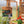 9x6 Willow Greenhouse – view 6