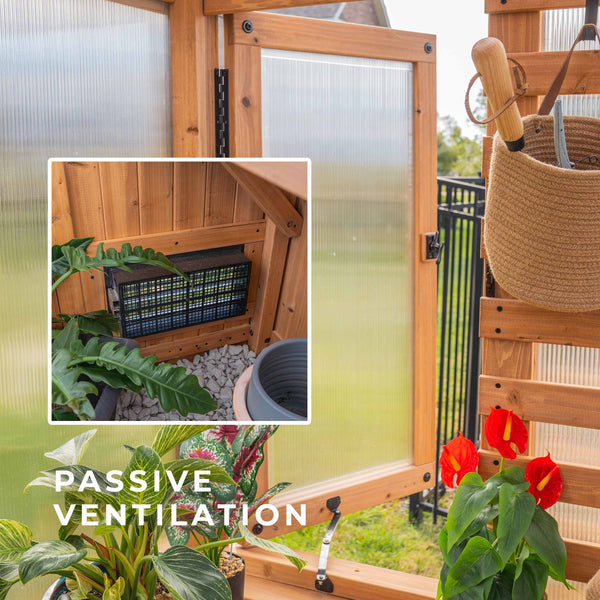 9x6 Willow Greenhouse – view 6