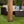 Beaumont Pergola-10x10-Light Brown – view 7