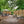 Privacy Wall 8x6 – view 3